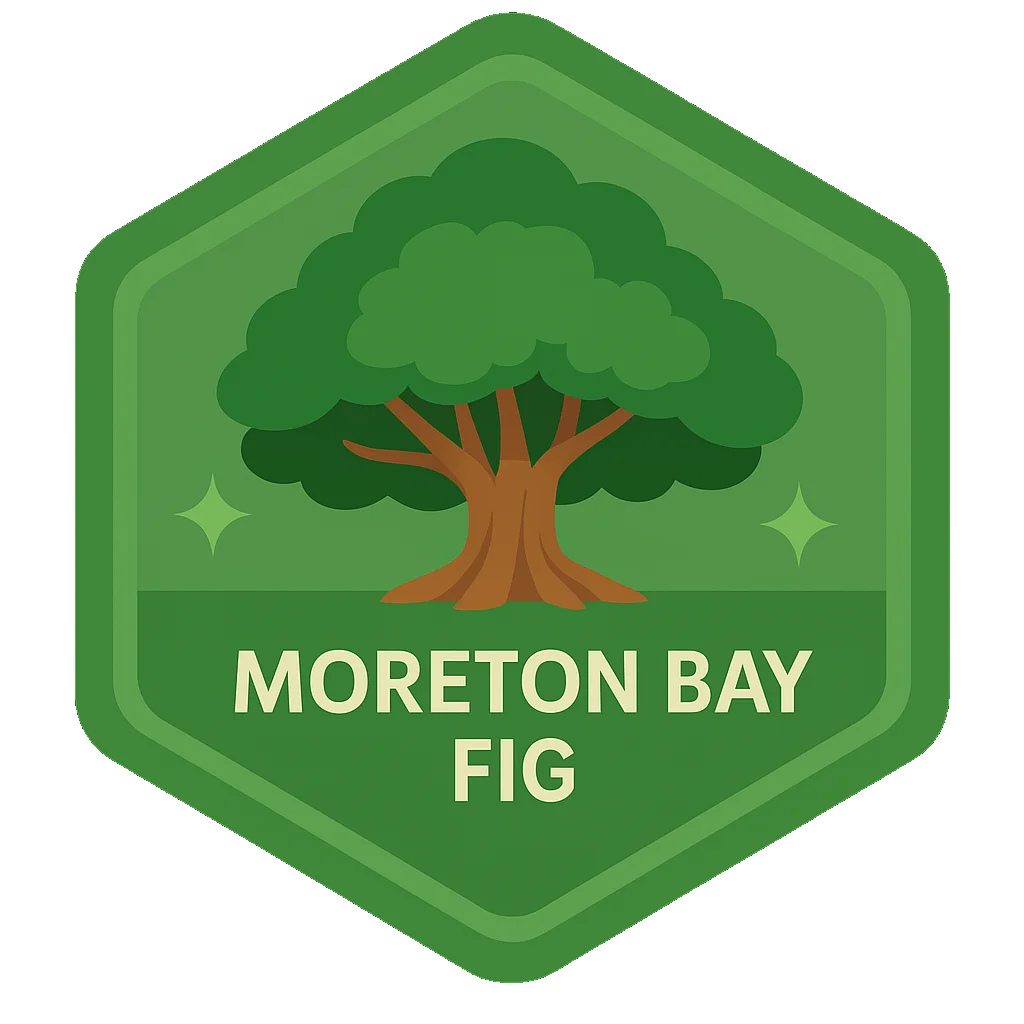Moreton Bay Fig Leafari badge artwork.