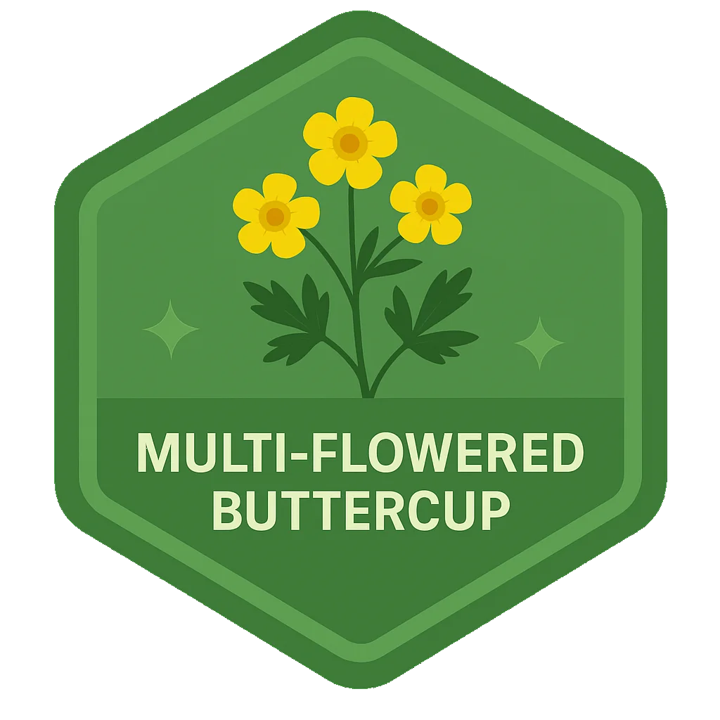 Multi-Flowered Buttercup community badge artwork.