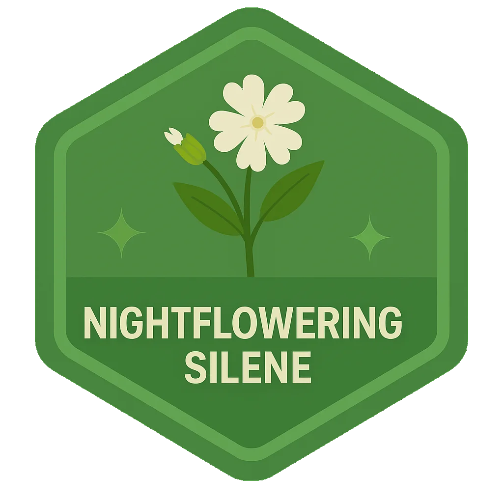 Nightflowering Silene community badge artwork.