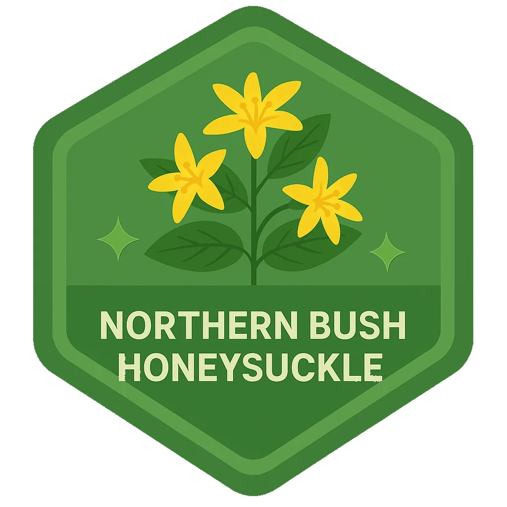 Northern Bush Honeysuckle Leafari discovery badge.