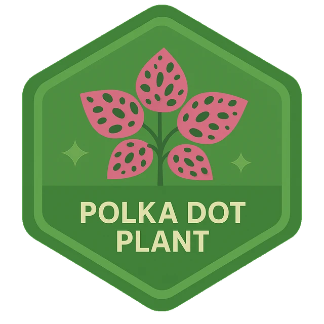 Polka Dot Plant Leafari discovery badge.