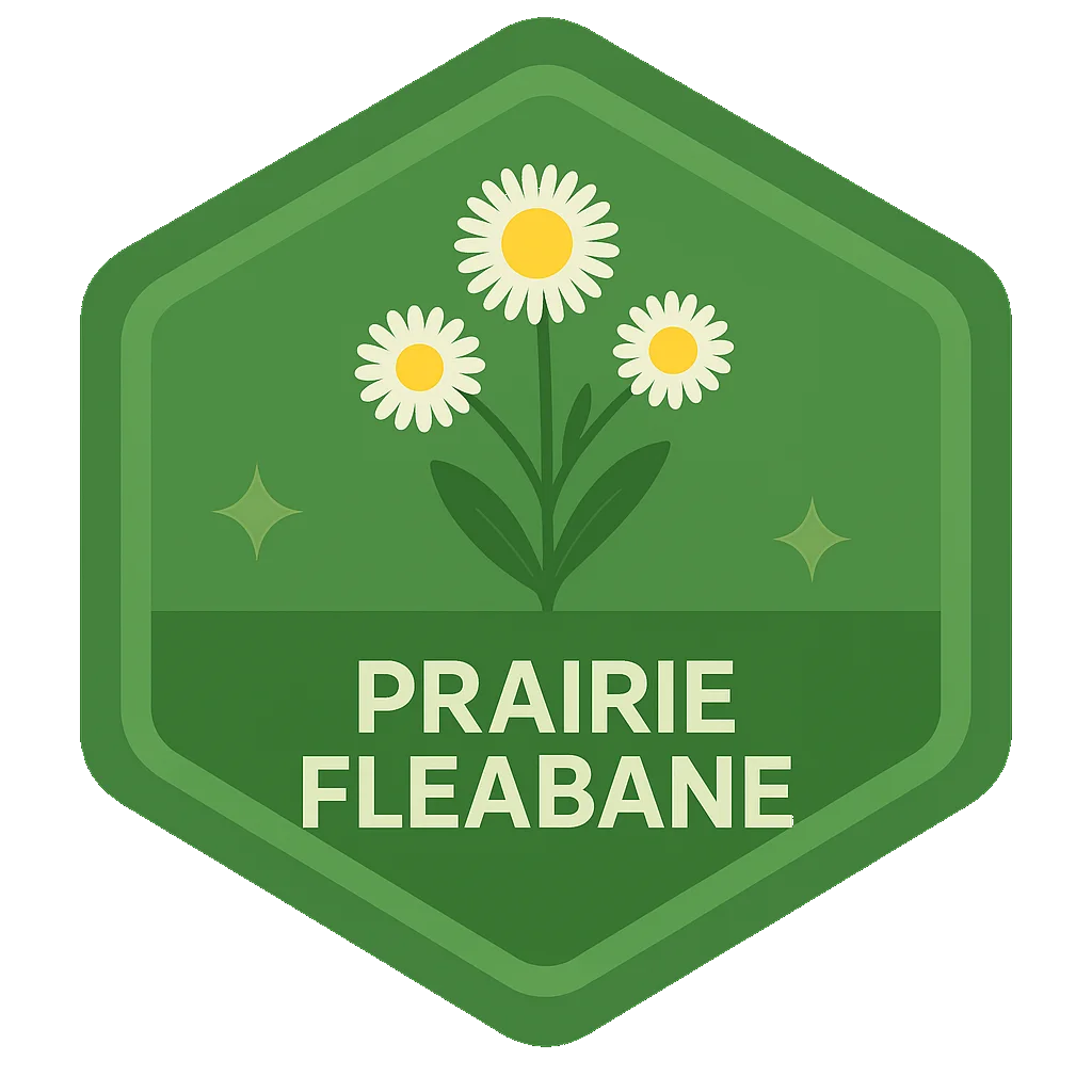 Prairie Fleabane community badge art.