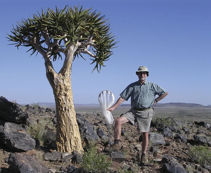 Quiver Tree shown in a verified species image for field-guide context.