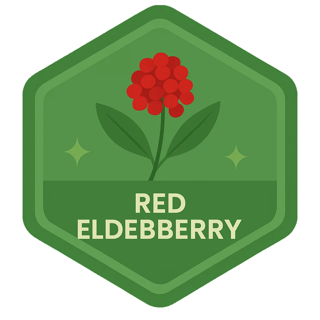 Red Elderberry badge.