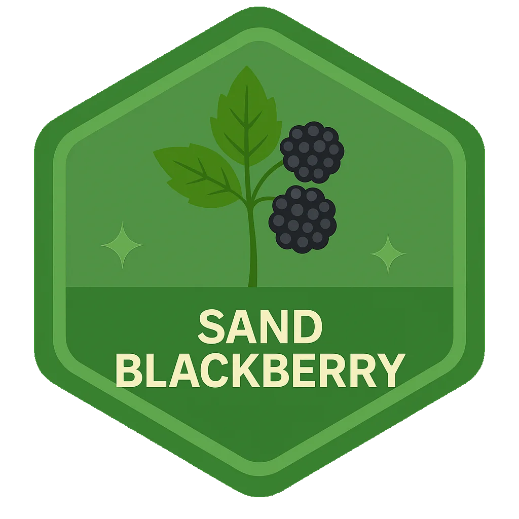 Sand Blackberry badge art from the app.