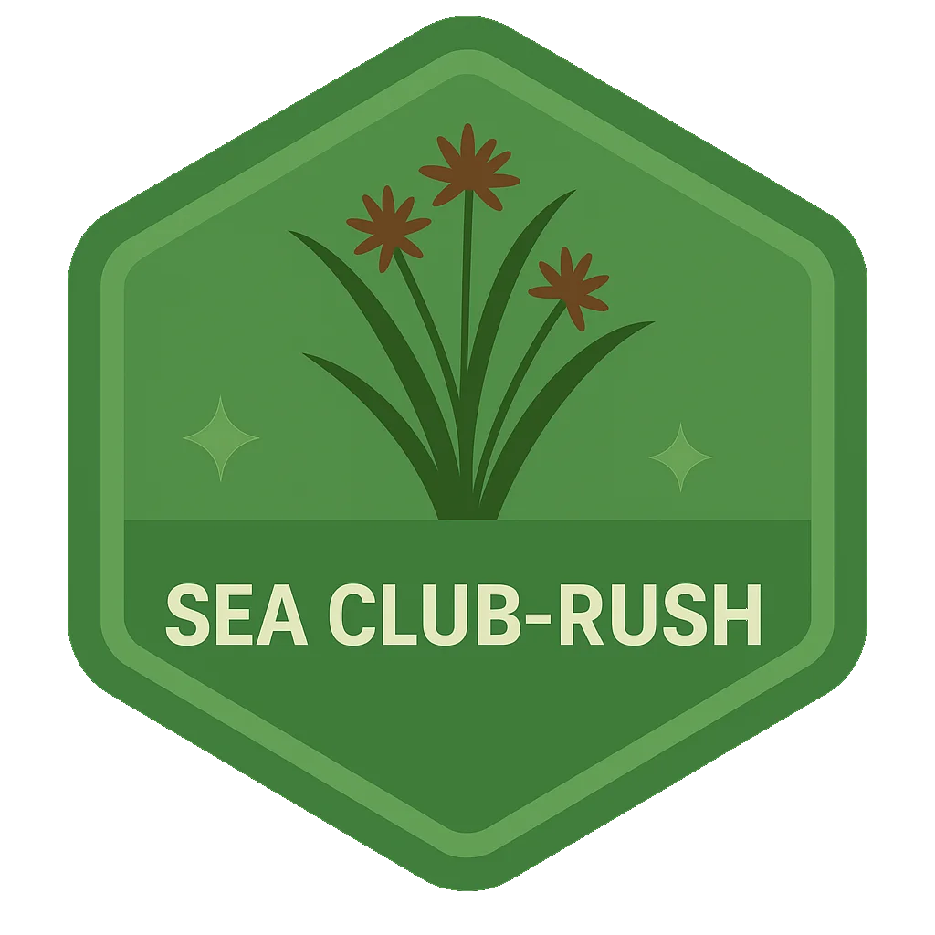 Sea Club-Rush community badge artwork.