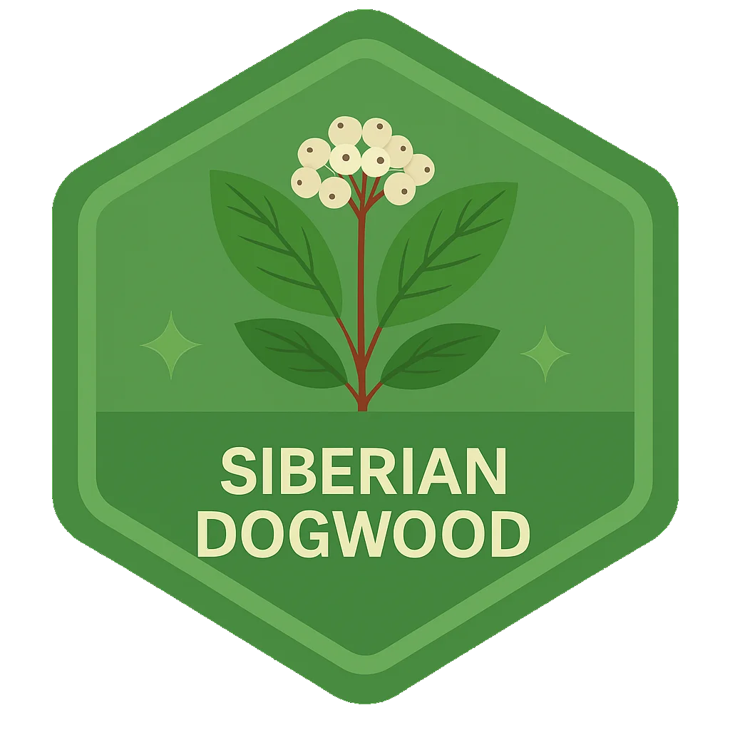 Siberian Dogwood community badge artwork.