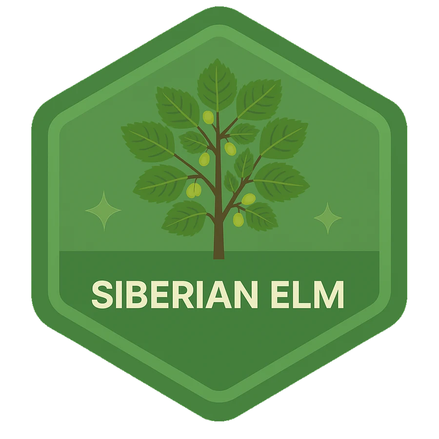 Leafari badge for Siberian Elm.