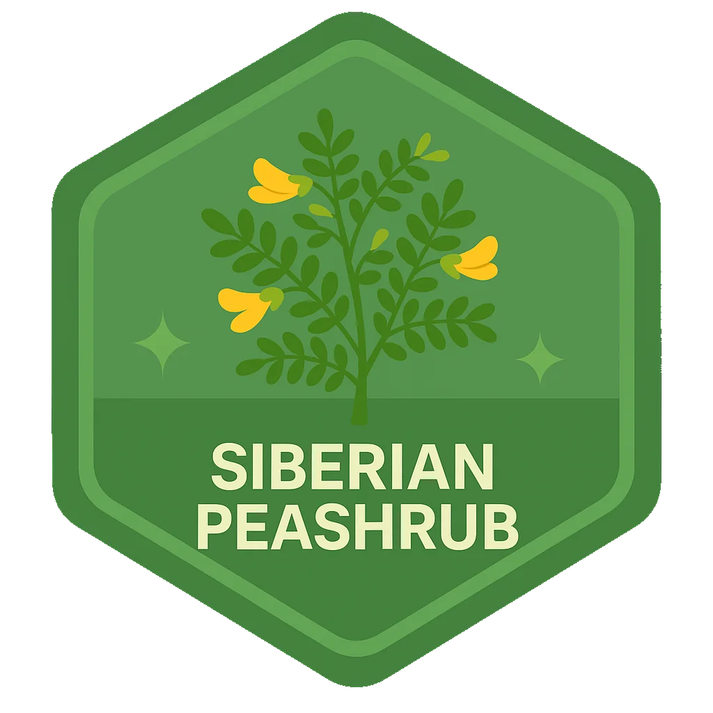 Siberian Peashrub Leafari badge artwork.