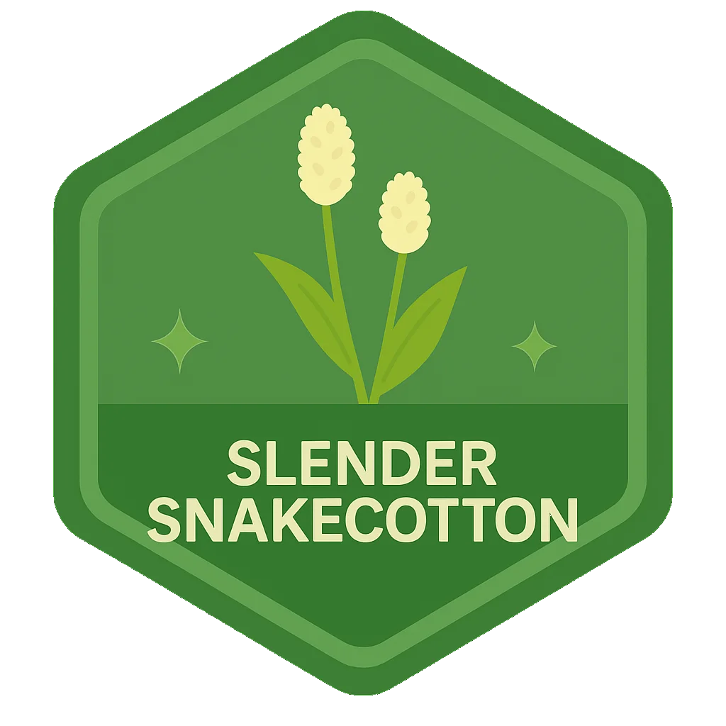 Slender Snakecotton community badge art.
