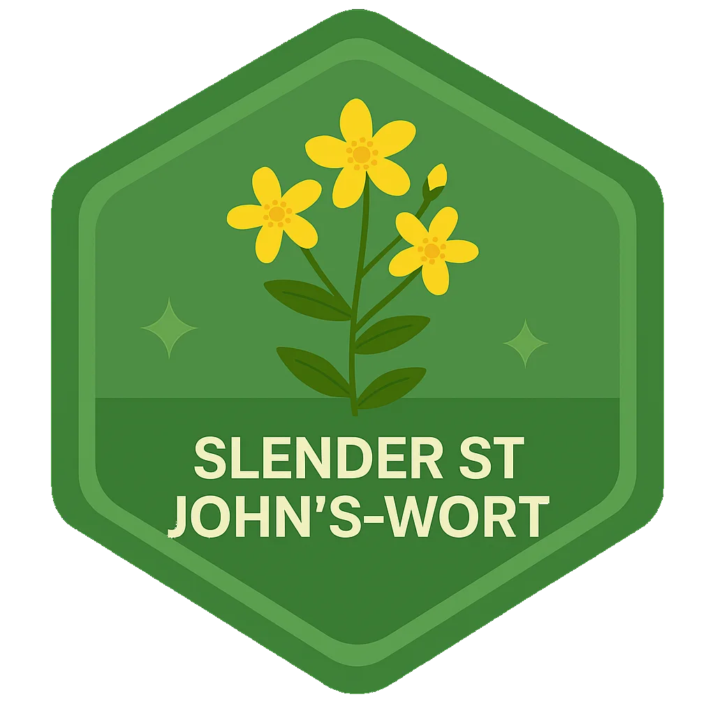 Slender St John's-Wort badge art from the app.