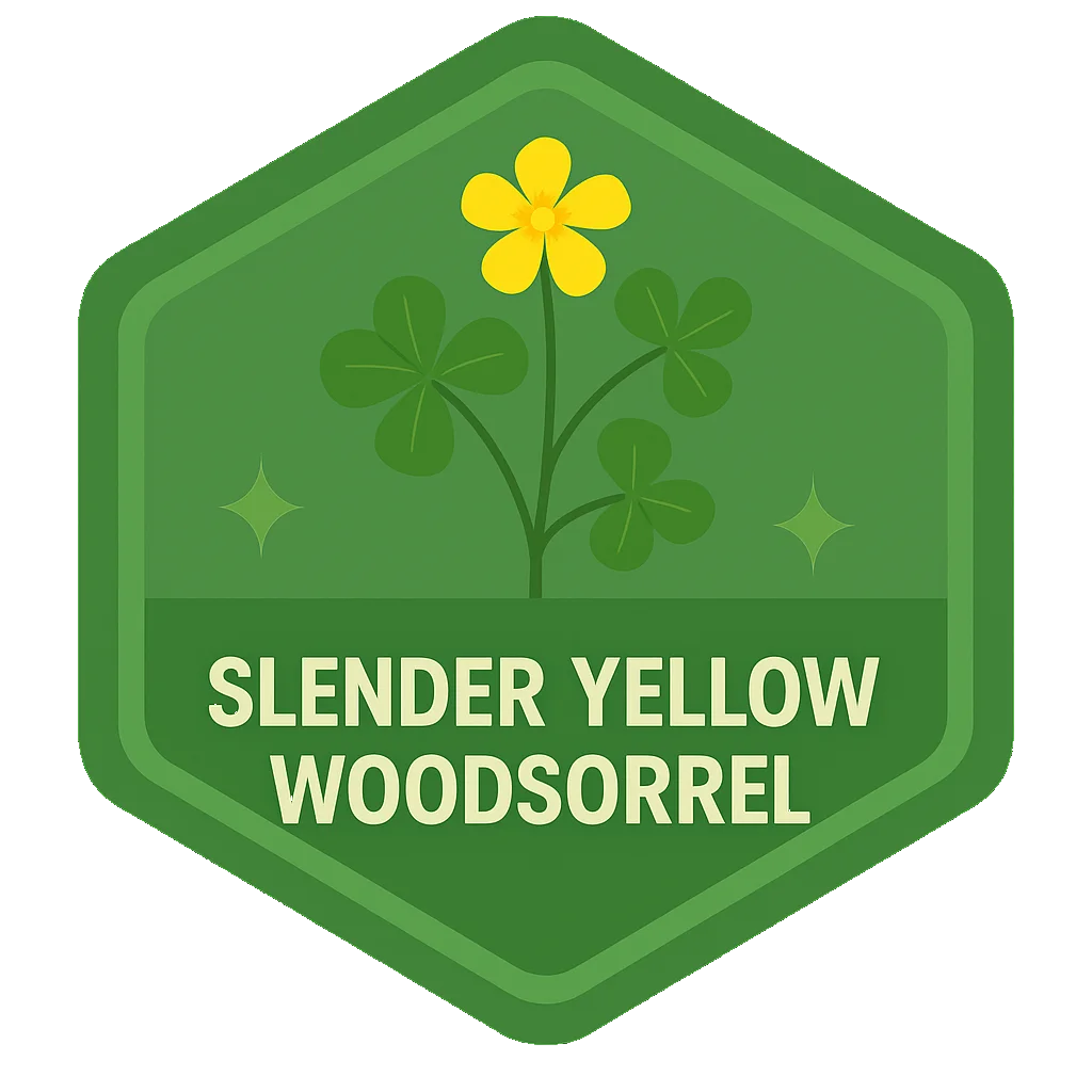 Slender Yellow Woodsorrel community badge art.