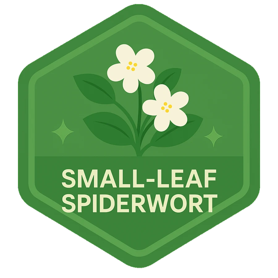 Leafari badge for Small-Leaf Spiderwort.