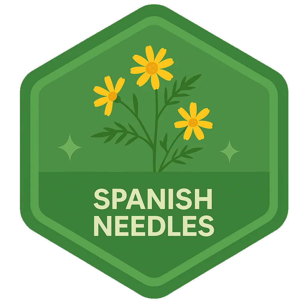 Spanish Needles Leafari discovery badge.