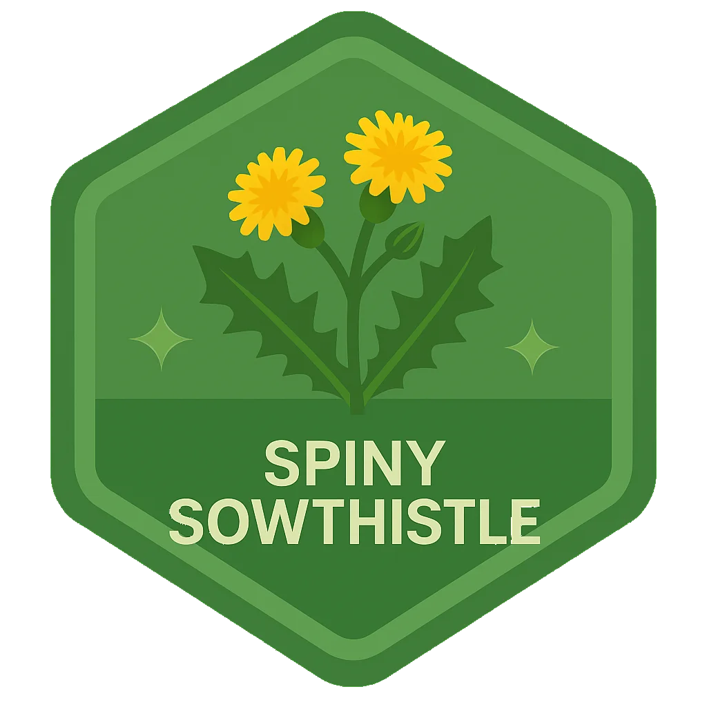 Spiny Sowthistle community badge artwork.