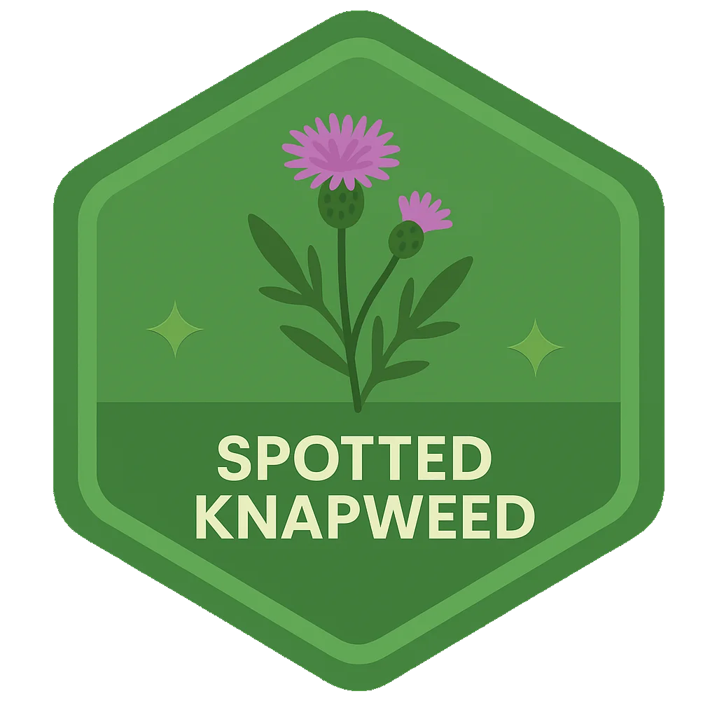 Spotted Knapweed community badge artwork.