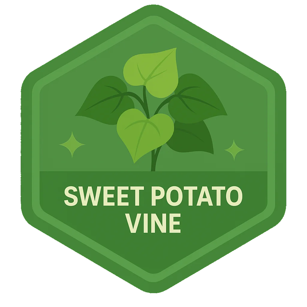Sweet Potato Vine badge.