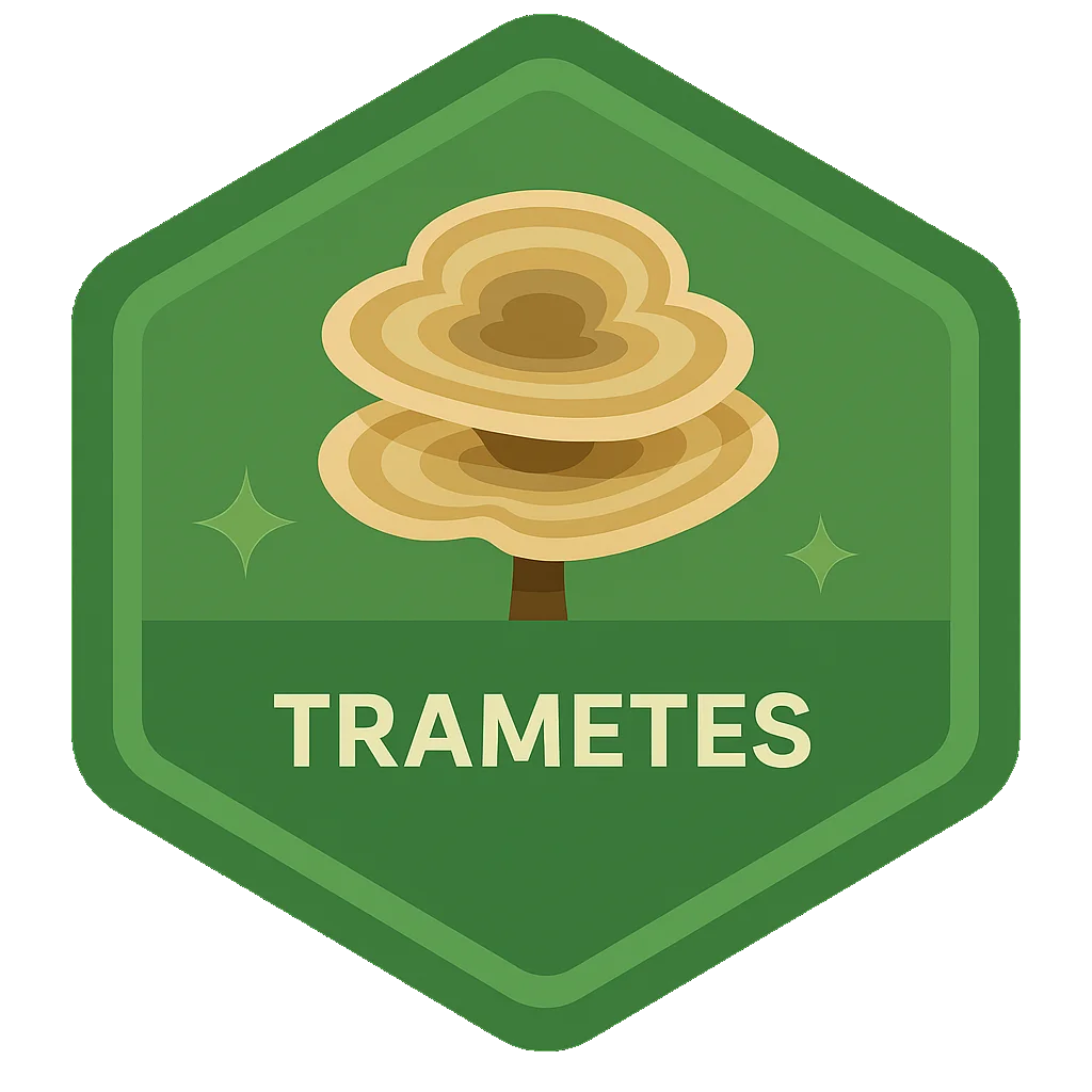 Leafari badge for Trametes.