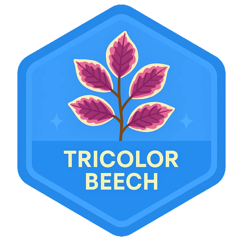 Tricolor Beech Leafari badge.