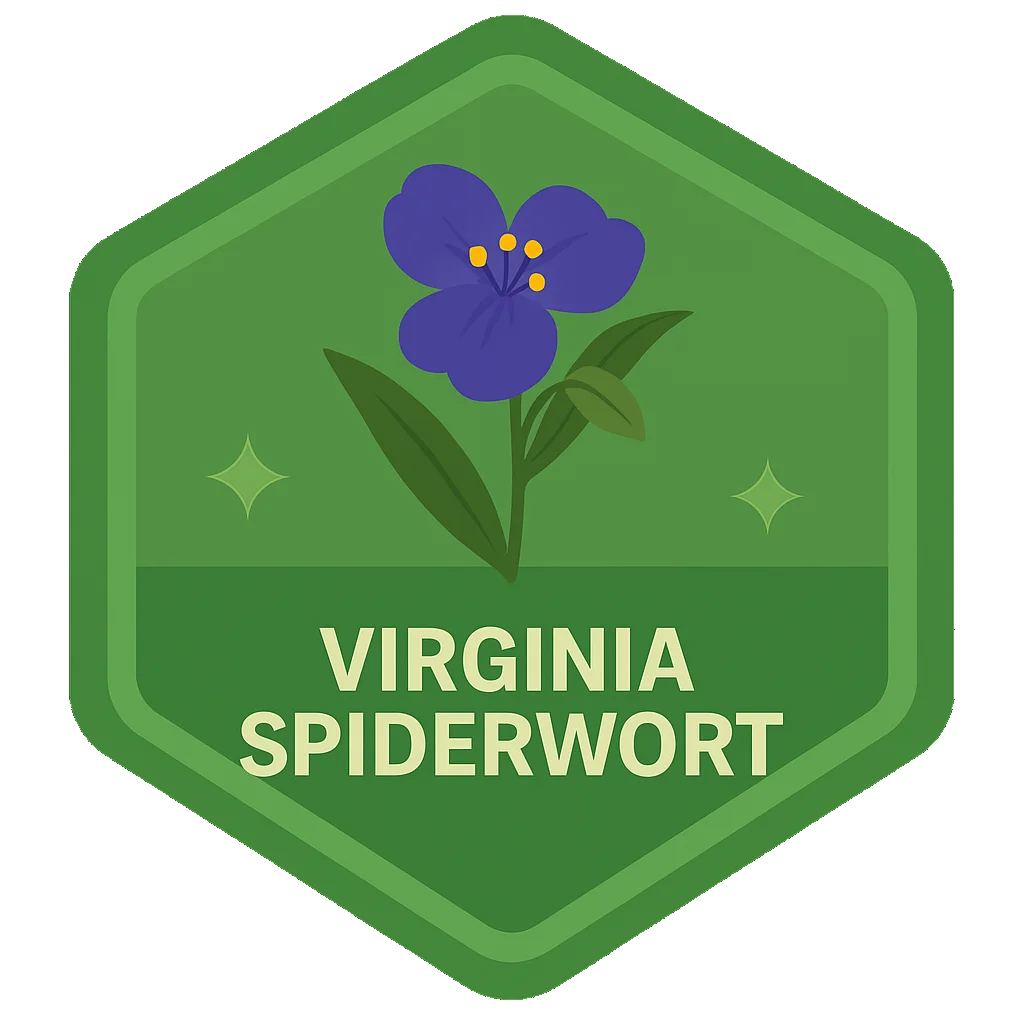 Virginia Spiderwort community badge artwork.