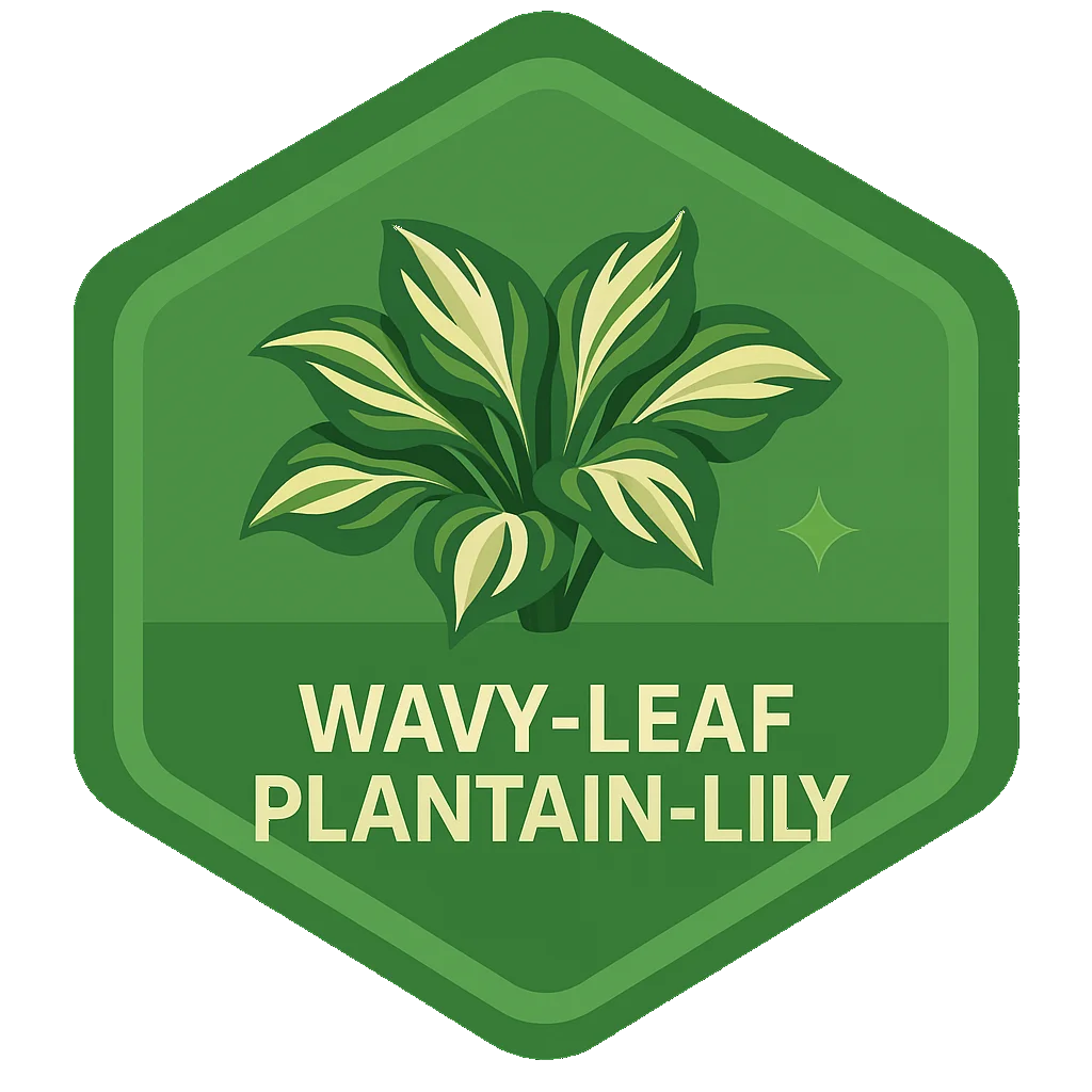 Wavy-Leaf Plantain-Lily community badge artwork.