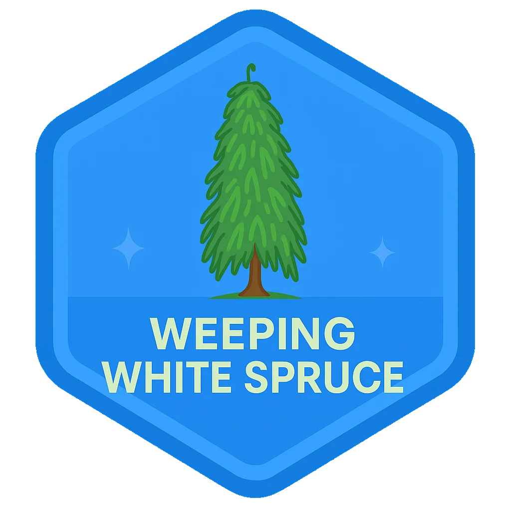 Weeping White Spruce community badge artwork.