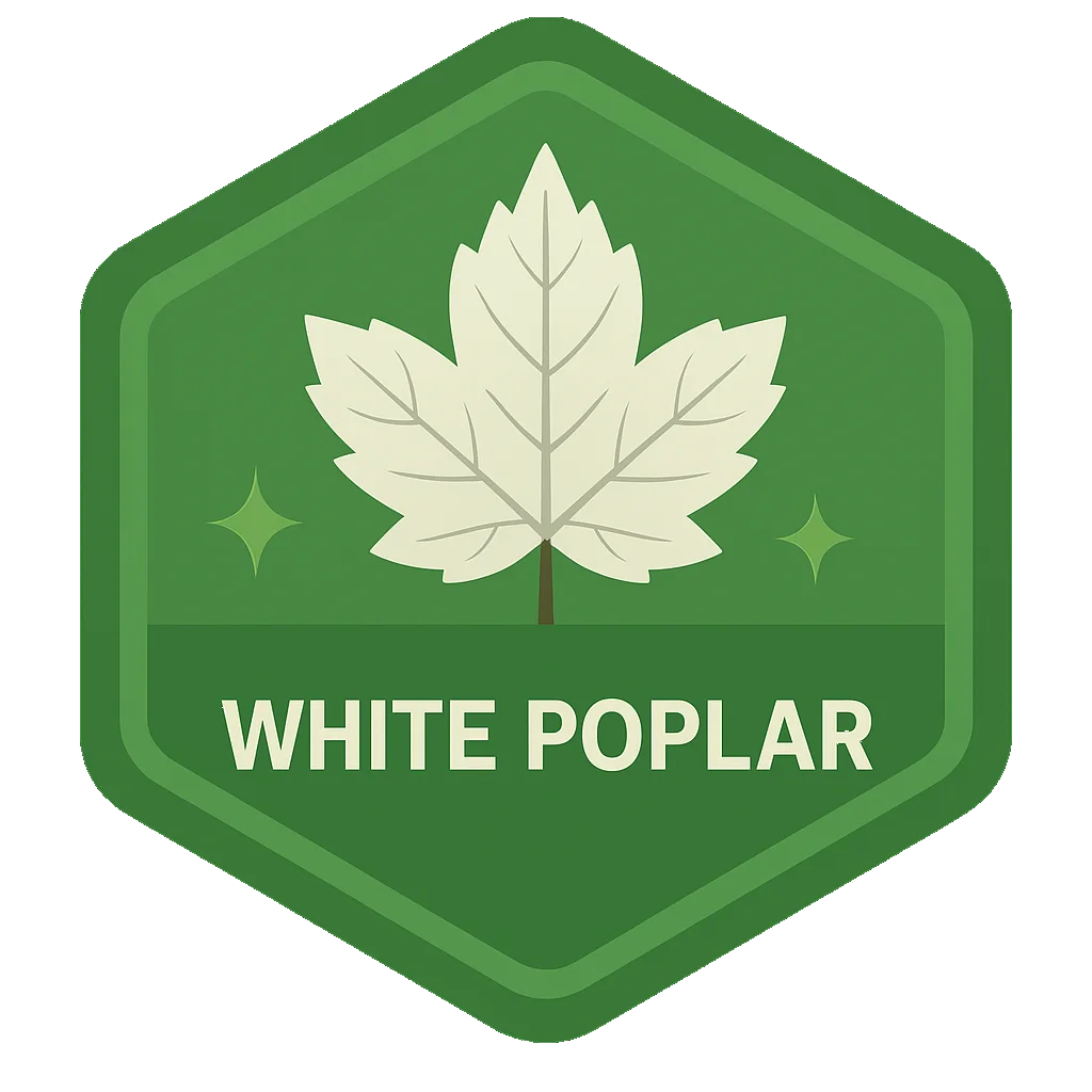 White Poplar community badge artwork.